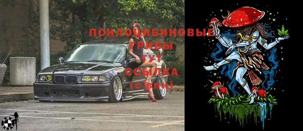 твердый Нея